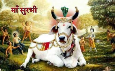 Gau Sanskriti kya hai | गौ संस्कृति क्या है | what is cow culture ?